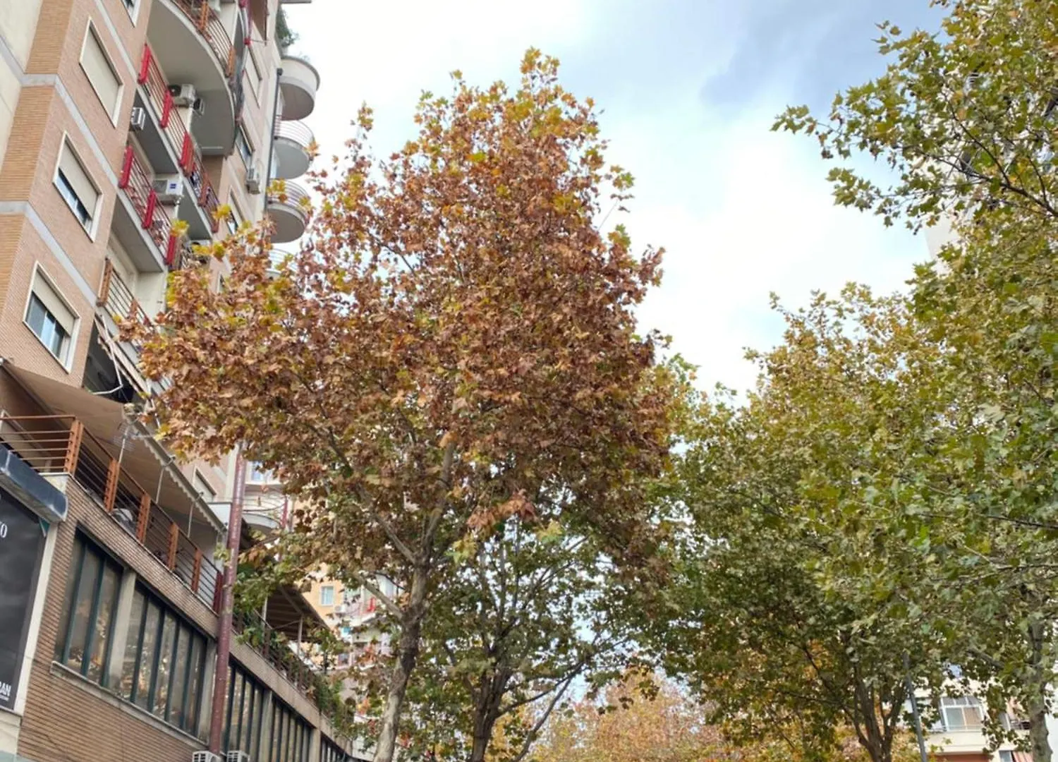 Maison D'Artiste Tirana