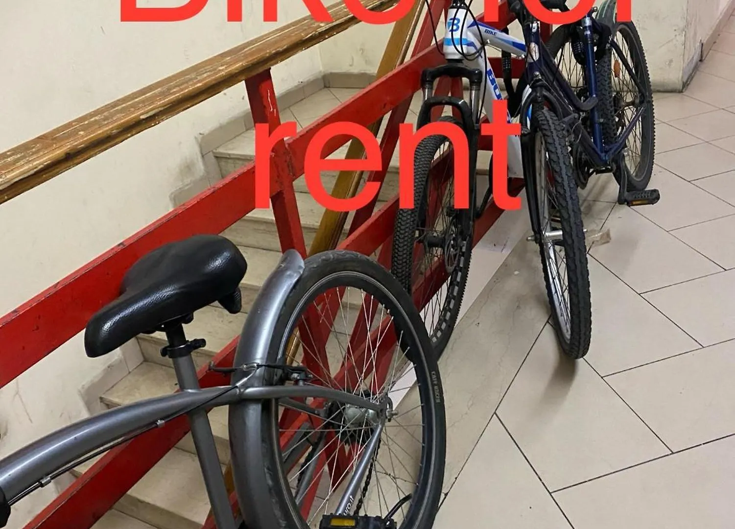 Hostel Maison D'Artiste Tirana
